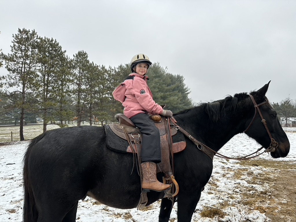 Young rider in a pink coat on a black horse in a snowy pasture.