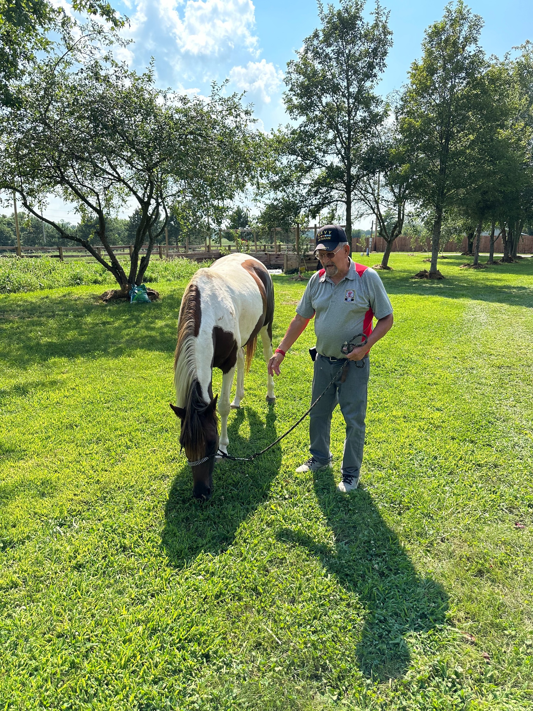 A volunteer walks a rescue horse across a green pasture.