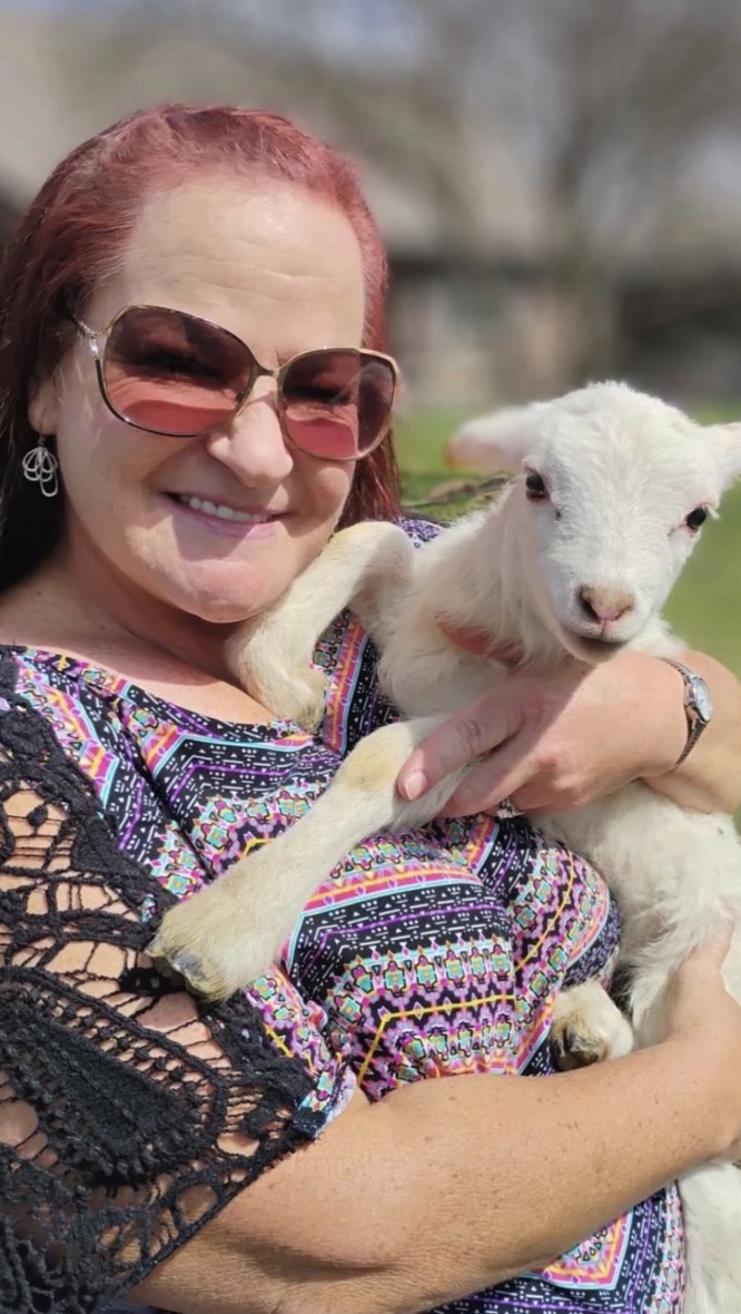 A volunteer cradles a newborn lamb in the spring sunshine.