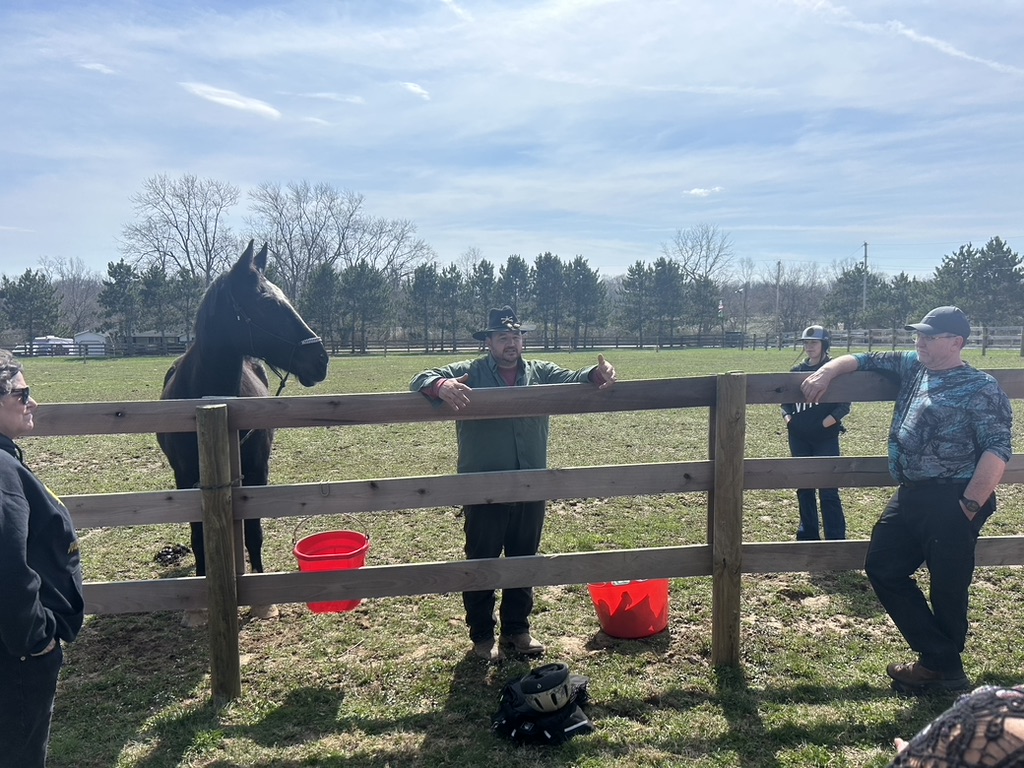 Founder introduces a black horse to a small group at the paddock.