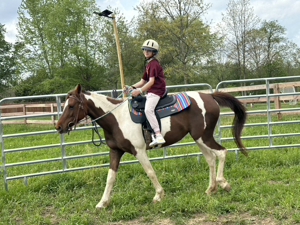 Young rider in a helmet on a paint horse in the round pen.